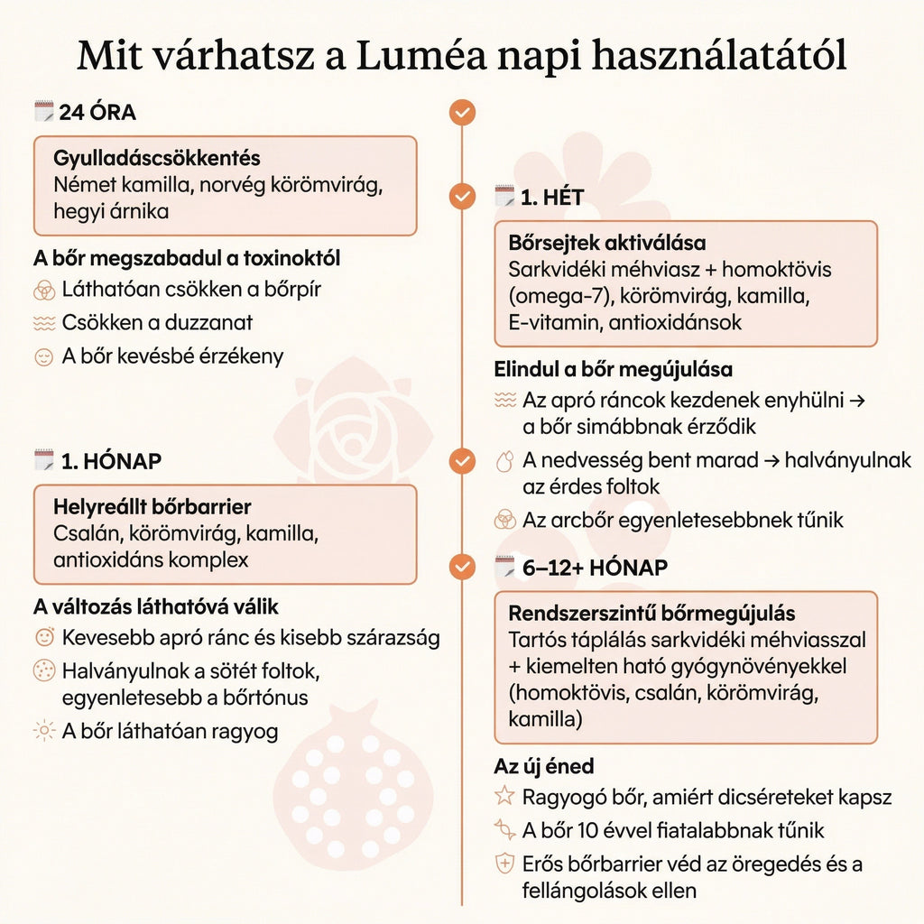 Luméa Organics - Komplex Anti-Age Szett Érett Nőknek