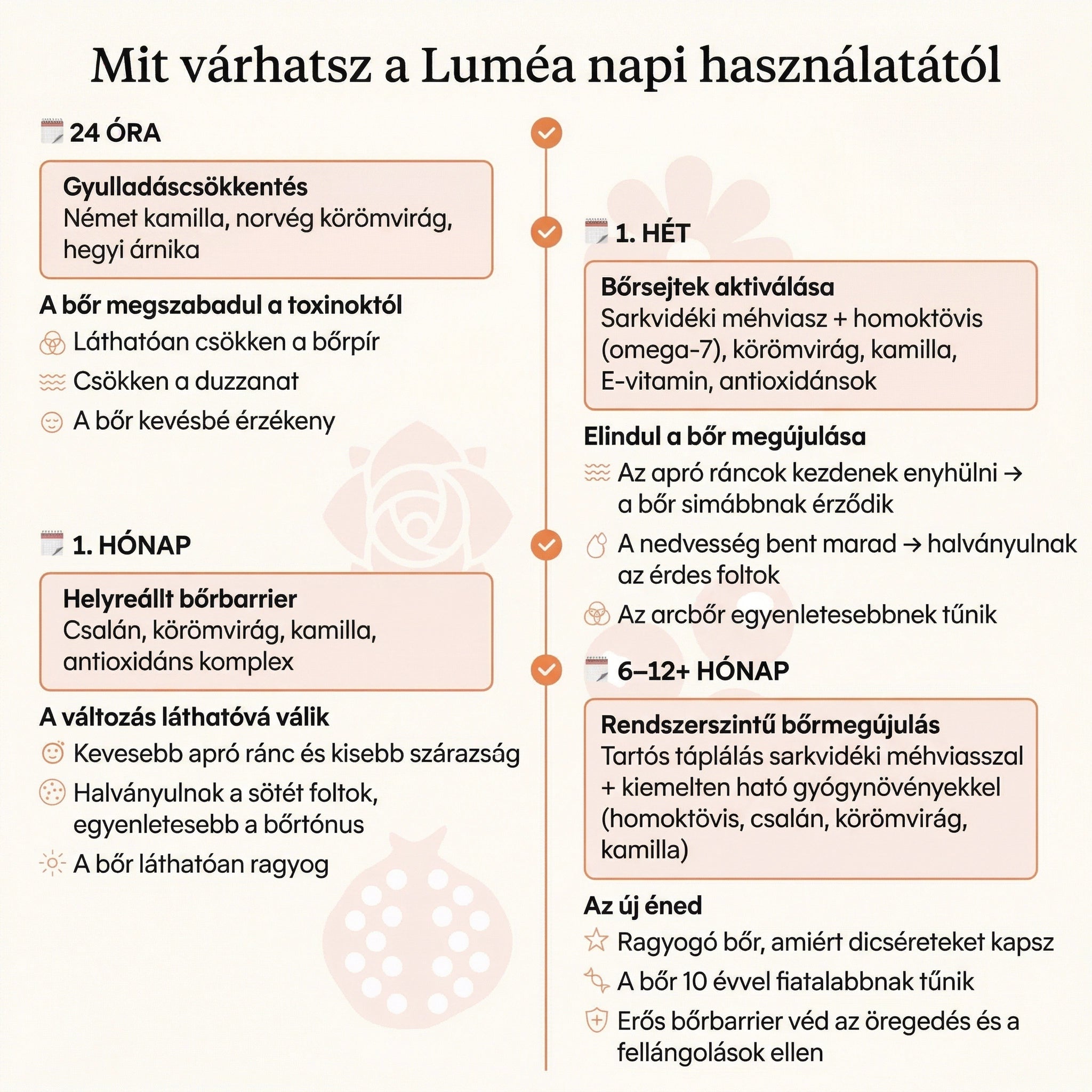 Luméa Organics - Komplex Anti-Age Szett Érett Nőknek